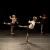 repertoire