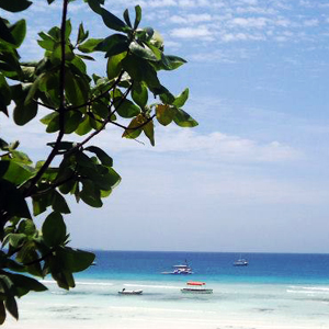 En Güzel Tatil Rotası: Zanzibar'da Ne Yapılır?