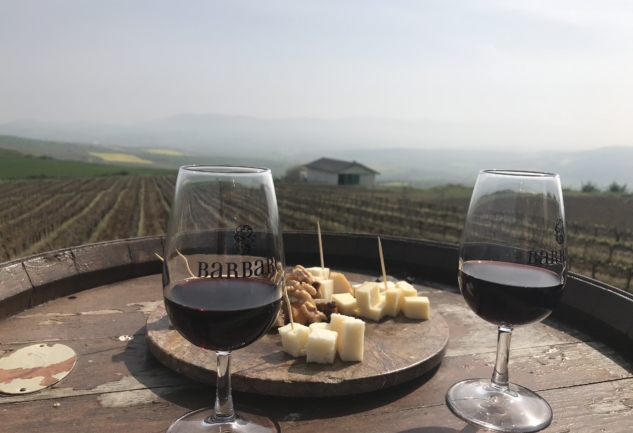 Barbaros Bağ Evi: Trakya'da Hafta Sonu Şarap Kaçamağı