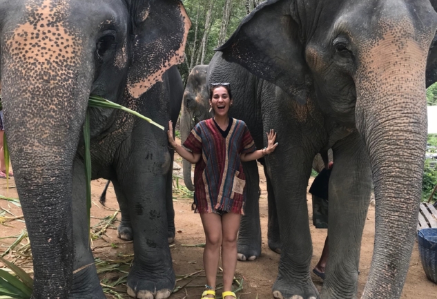 Elephant Jungle Sanctuary: Phuket'te Bir Fil Barınağı