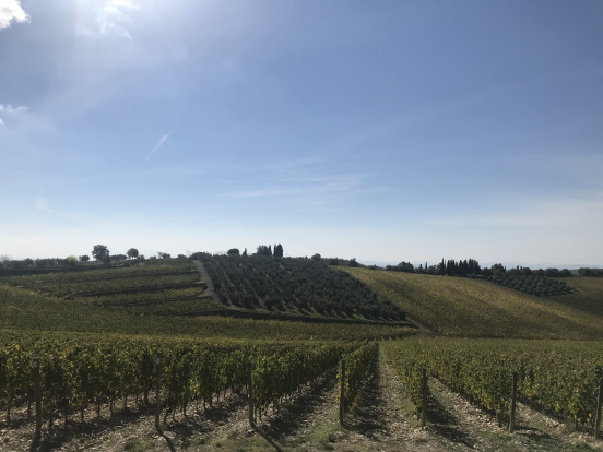 Toskana: Doğa, Tarih ve Şarap Rotası
