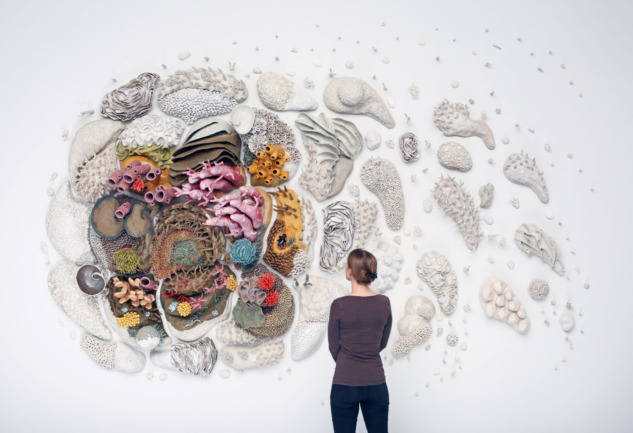 Mercan Resifleri ve Sanat: Farkındalık Yaratan Eserler