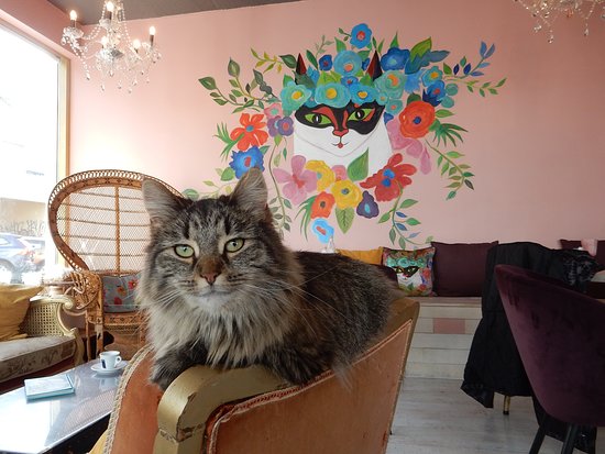 pawsitively-the-queen